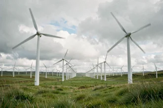 Parc éolien en Islande avec des dizaines d'éoliennes sur des collines verdoyantes, symbole des énergies renouvelables à 100%